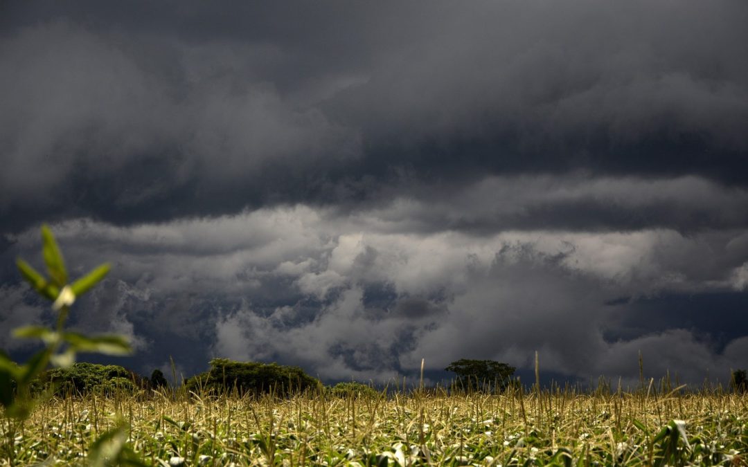 Der Regen sorgt für Zwangspause